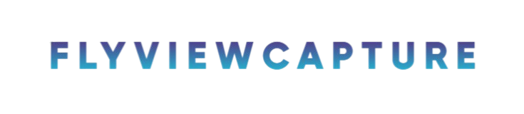 FlyViewCapture